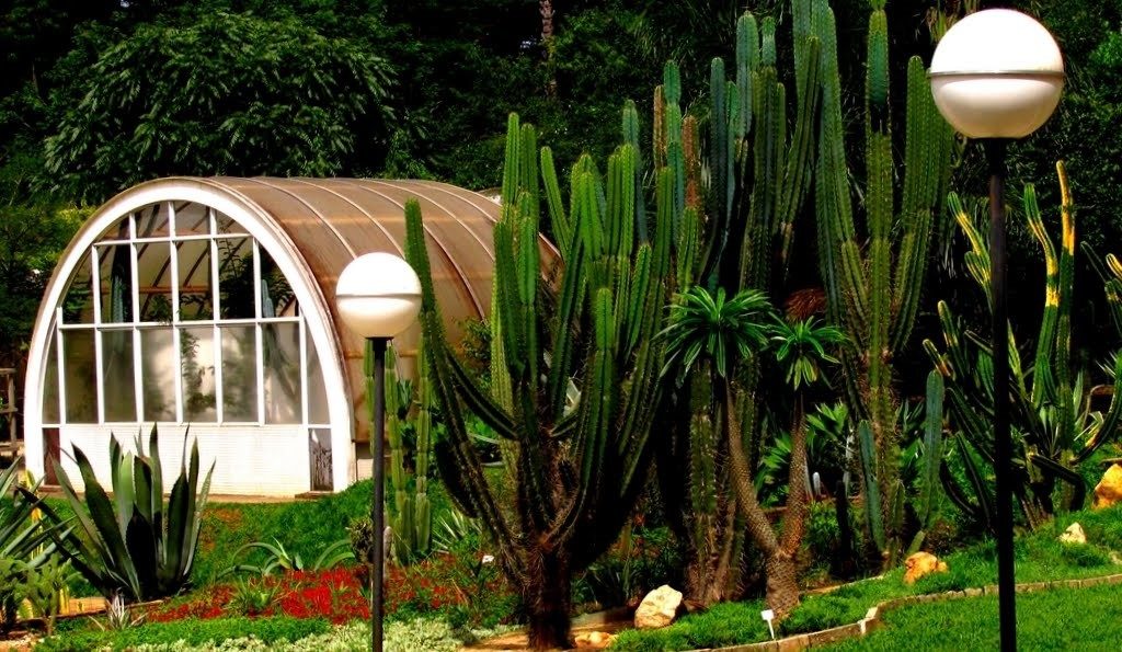 Jardim Botânico Belo Horizonte